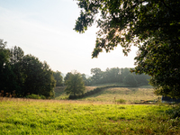 September 1, 2024, is the warmest on record in the country. On Saturday, temperatures climb to 30 degrees in many places in The Netherlands,...