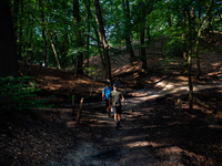 September 1, 2024, is the warmest on record in the country. On Saturday, temperatures climb to 30 degrees in many places in The Netherlands,...