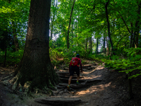 September 1, 2024, is the warmest on record in the country. On Saturday, temperatures climb to 30 degrees in many places in The Netherlands,...