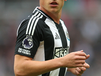 Newcastle United's Harvey Barnes during the Premier League match between Newcastle United and Tottenham Hotspur at St. James's Park in Newca...