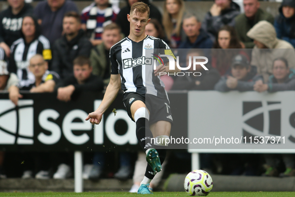 Newcastle United's Emil Krafth during the Premier League match between Newcastle United and Tottenham Hotspur at St. James's Park in Newcast...