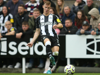 Newcastle United's Emil Krafth during the Premier League match between Newcastle United and Tottenham Hotspur at St. James's Park in Newcast...