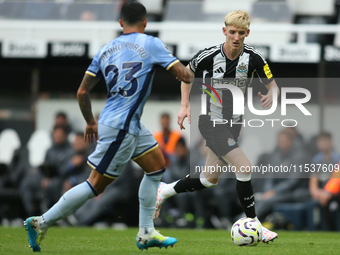 Newcastle United's Anthony Gordon takes on Tottenham Hotspur's Pedro Porro during the Premier League match between Newcastle United and Tott...