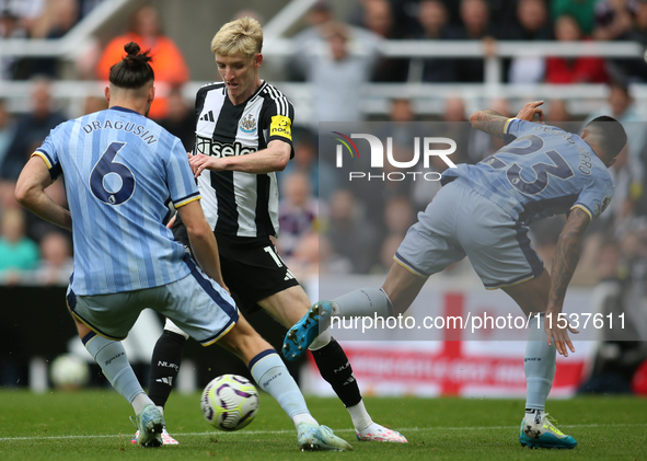 Newcastle United's Anthony Gordon takes on Tottenham Hotspur's Radu Dragusin and Pedro Porro during the Premier League match between Newcast...