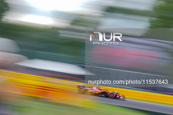 Carlos Sainz of Spain drives the (55) Scuderia Ferrari SF-24 during the Race of the Formula 1 Pirelli Gran Premio d'Italia 2024 in Monza, It...