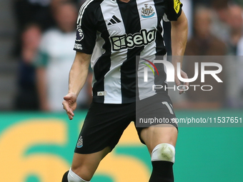 Newcastle United's Emil Krafth during the Premier League match between Newcastle United and Tottenham Hotspur at St. James's Park in Newcast...