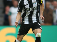 Newcastle United's Emil Krafth during the Premier League match between Newcastle United and Tottenham Hotspur at St. James's Park in Newcast...