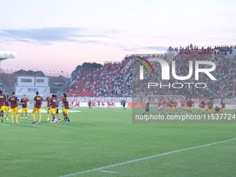 US Salernitana 1919 warms up before the Italian Serie B soccer championship match between Mantova Calcio 1911 and US Salernitana 1919 at Dan...