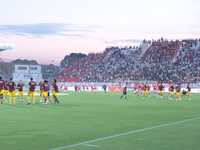 US Salernitana 1919 warms up before the Italian Serie B soccer championship match between Mantova Calcio 1911 and US Salernitana 1919 at Dan...