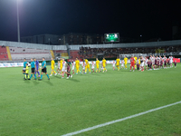 US Salernitana 1919 and Mantova 1911 play during the Italian Serie B soccer championship football match between Mantova Calcio 1911 and US S...