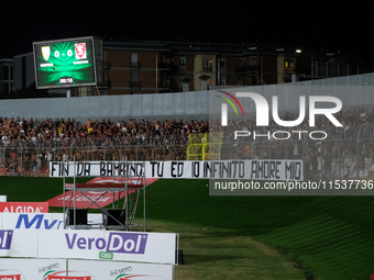 Supporters of US Salernitana 1919 during the Italian Serie B soccer championship football match between Mantova Calcio 1911 and US Salernita...