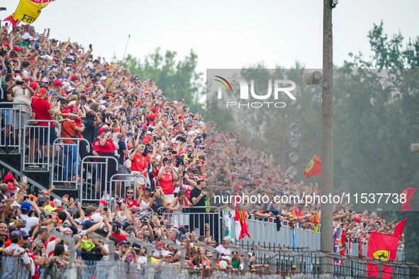 Tifosi Ferrari during the Race of the Formula 1 Pirelli Gran Premio d'Italia 2024 in Monza, Italy, on September 1, 2024. 