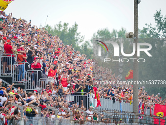 Tifosi Ferrari during the Race of the Formula 1 Pirelli Gran Premio d'Italia 2024 in Monza, Italy, on September 1, 2024. (