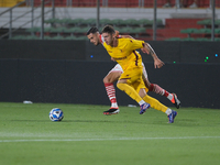 Lorenzo Amatucci of US Salernitana 1919 during the Italian Serie B soccer championship football match between Mantova Calcio 1911 and US Sal...