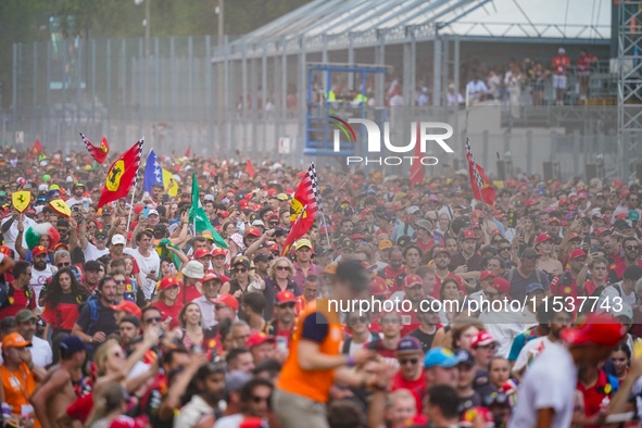 Tifosi Ferrari during the Race of the Formula 1 Pirelli Gran Premio d'Italia 2024 in Monza, Italy, on September 1, 2024. 