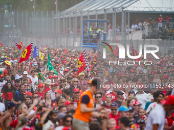 Tifosi Ferrari during the Race of the Formula 1 Pirelli Gran Premio d'Italia 2024 in Monza, Italy, on September 1, 2024. (