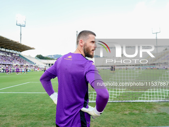 David De Gea of ACF Fiorentina looks on during the Serie A Enilive match between ACF Fiorentina and AC Monza at Stadio Artemio Franchi on Se...