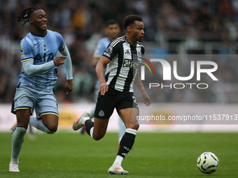 Newcastle United's Jacob Murphy breaks away from Tottenham Hotspur's Destiny Udogie during the Premier League match between Newcastle United...