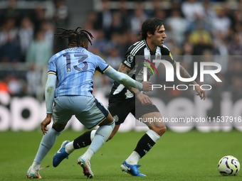 Newcastle United's Sandro Tonali takes on Tottenham Hotspur's Destiny Udogie during the Premier League match between Newcastle United and To...