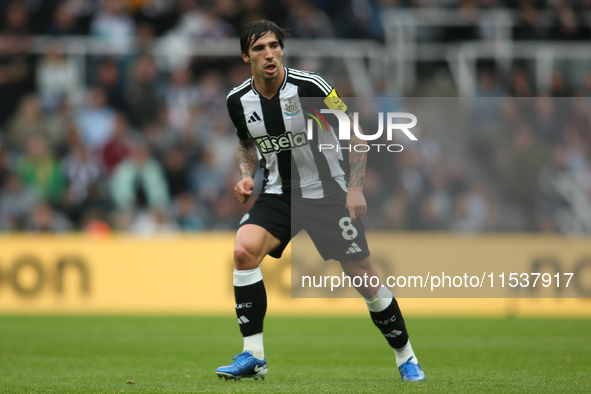 Newcastle United's Sandro Tonali during the Premier League match between Newcastle United and Tottenham Hotspur at St. James's Park in Newca...