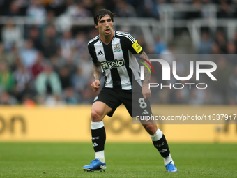 Newcastle United's Sandro Tonali during the Premier League match between Newcastle United and Tottenham Hotspur at St. James's Park in Newca...