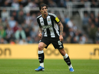 Newcastle United's Sandro Tonali during the Premier League match between Newcastle United and Tottenham Hotspur at St. James's Park in Newca...