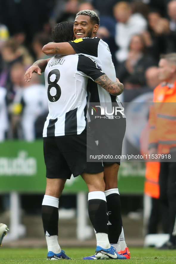 Newcastle United's Joelinton congratulates Newcastle United's Sandro Tonali at full time during the Premier League match between Newcastle U...