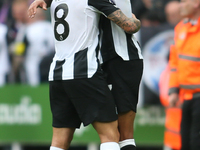 Newcastle United's Joelinton congratulates Newcastle United's Sandro Tonali at full time during the Premier League match between Newcastle U...