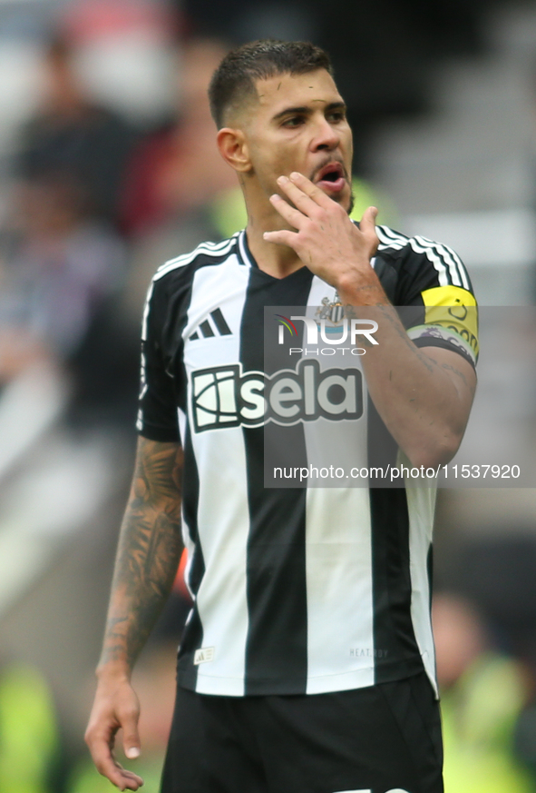 Newcastle United's Bruno Guimaraes during the Premier League match between Newcastle United and Tottenham Hotspur at St. James's Park in New...