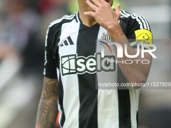 Newcastle United's Bruno Guimaraes during the Premier League match between Newcastle United and Tottenham Hotspur at St. James's Park in New...