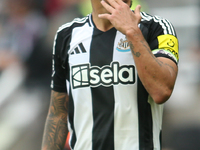 Newcastle United's Bruno Guimaraes during the Premier League match between Newcastle United and Tottenham Hotspur at St. James's Park in New...