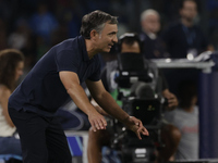 Parma's Coach Fabio Pecchia reacts during the Serie A soccer match between SSC Napoli and Parma Calcio at Stadio Maradona in Naples, Italy,...