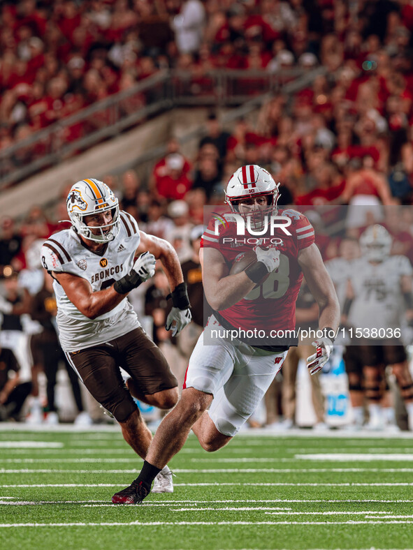 Wisconsin Badgers tight end Tucker Ashcraft #38 runs down the field after a catch against the Western Michigan Broncos at Camp Randall Stadi...