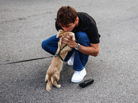 Charles Leclerc of Ferrari is seen with his puppy Leo, a miniature longhaired dachshund, after winning the Italian Formula One Grand Prix at...