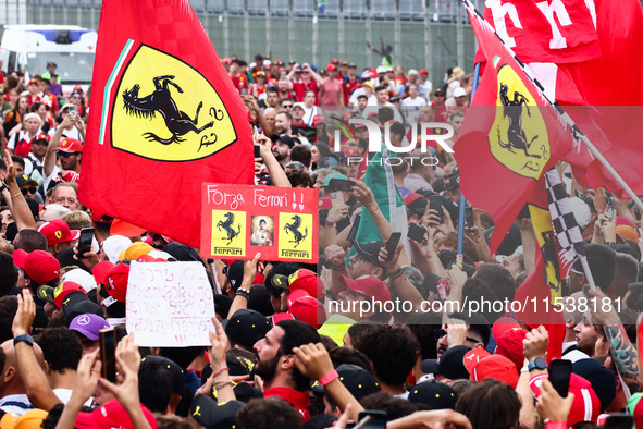 Tifosi celebrate after Charles Leclerc of Ferrari wins the Italian Formula One Grand Prix at Autodromo Nazionale Monza circuit, in Monza on...