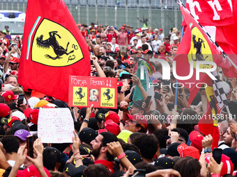 Tifosi celebrate after Charles Leclerc of Ferrari wins the Italian Formula One Grand Prix at Autodromo Nazionale Monza circuit, in Monza on...