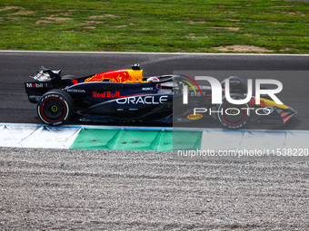 Max Verstappen of Red Bull Racing drives a car on the track during the Italian Formula One Grand Prix at Autodromo Nazionale Monza circuit,...