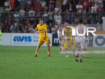 Dylan Bronn of US Salernitana 1919 during the Italian Serie B soccer championship football match between Mantova Calcio 1911 and US Salernit...