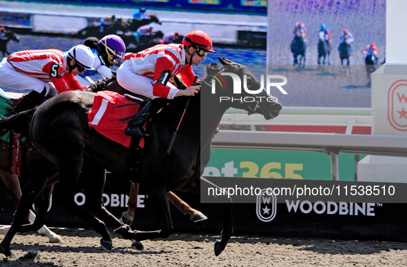 Jockey Austin Adams rides Morning Holiday to a win in the first race at Woodbine Racetrack in Toronto, Canada, on September 1, 2024. 