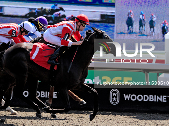 Jockey Austin Adams rides Morning Holiday to a win in the first race at Woodbine Racetrack in Toronto, Canada, on September 1, 2024. (