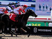 Jockey Austin Adams rides Morning Holiday to a win in the first race at Woodbine Racetrack in Toronto, Canada, on September 1, 2024. (