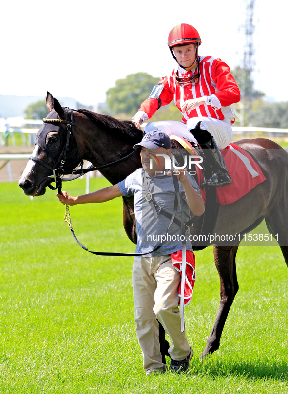 Jockey Austin Adams rides Morning Holiday to the winner's circle after a win in the first race at Woodbine Racetrack in Toronto, Canada, on...