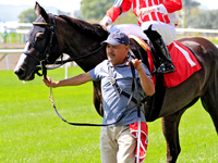 Jockey Austin Adams rides Morning Holiday to the winner's circle after a win in the first race at Woodbine Racetrack in Toronto, Canada, on...