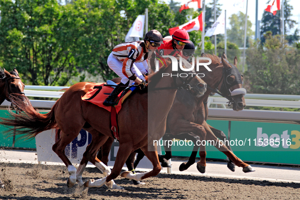 Jockey Pietro Moran (7) rides Shamateur at the beginning of the second race at Woodbine Racetrack in Toronto, Canada, on September 1, 2024. 