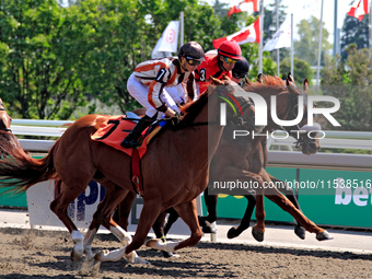 Jockey Pietro Moran (7) rides Shamateur at the beginning of the second race at Woodbine Racetrack in Toronto, Canada, on September 1, 2024....