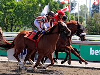 Jockey Pietro Moran (7) rides Shamateur at the beginning of the second race at Woodbine Racetrack in Toronto, Canada, on September 1, 2024....