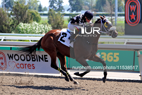 Jockey Emma-Jayne Wilson rides Ask in My Name to a win in the second race at Woodbine Racetrack in Toronto, Canada, on September 1, 2024. 