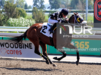 Jockey Emma-Jayne Wilson rides Ask in My Name to a win in the second race at Woodbine Racetrack in Toronto, Canada, on September 1, 2024. (