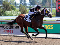 Jockey Emma-Jayne Wilson rides Ask in My Name to a win in the second race at Woodbine Racetrack in Toronto, Canada, on September 1, 2024. (