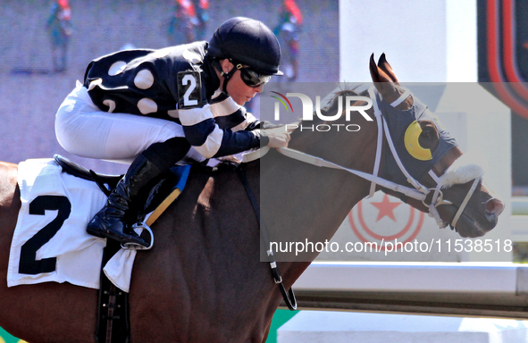 Jockey Emma-Jayne Wilson rides Ask in My Name to a win in the second race at Woodbine Racetrack in Toronto, Canada, on September 1, 2024. 